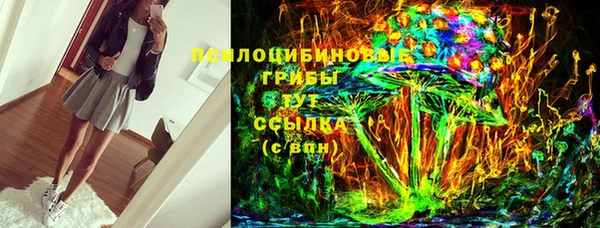 бошки Надым