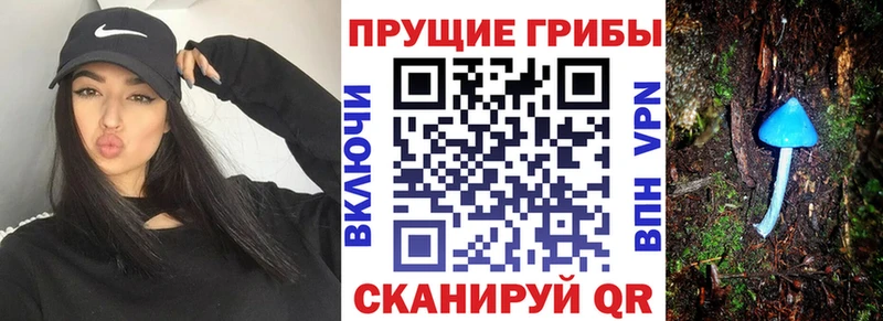 Галлюциногенные грибы ЛСД  где продают   ссылка на мегу   Череповец 