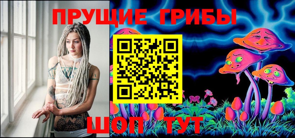 Череповец  Псилоцибиновые грибы ЛСД  Вход с VPN  Галлюциногенные грибы Cubensis 