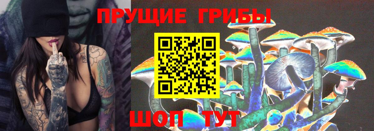 Псилоцибиновые грибы Psilocybine cubensis Череповец